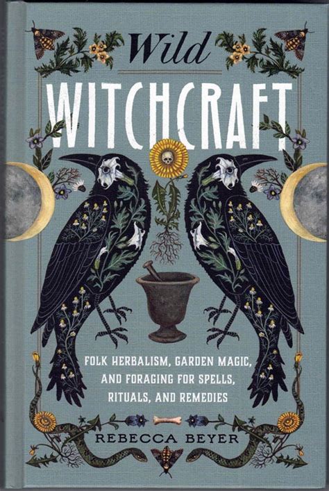 Vicious witchcraft Rebecca Beyer pdf